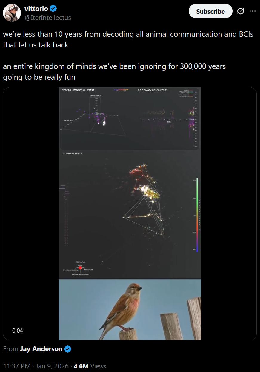 A post on X from @IterIntellectus dated January 9 2026. It reads: we’re less than 10 years from decoding all animal communication and BCIs that let us talk back. an entire kingdom of minds we’ve been ignoring for 300,000 years. going to be really fun. The post has an embedded video which shows a bird chirping alongside a 3D visualisation of the parameters of the bird&rsquo;s song.